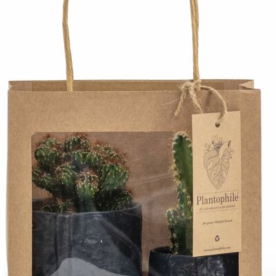 Giftbag with 2 Cactus in facepot black