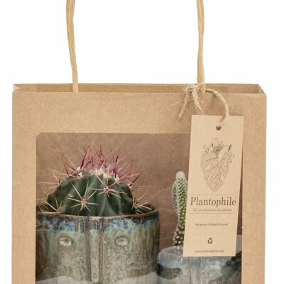 Giftbag with 2 Cactus in facepot petrol