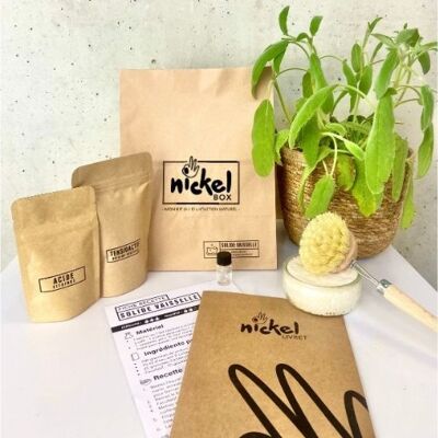 Nickel-Box: Das "solide Geschirr" DIY KIT mit Citrus Ihr Handgeschirrspülmittel im Zero Waste Solid-Modus