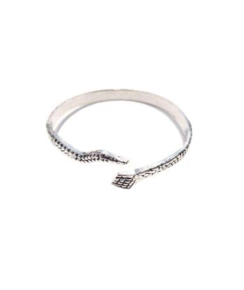 Bracelet Peau De Serpent - Argent 1