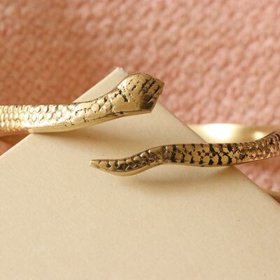 Schlangenhaut-Armband - Gold