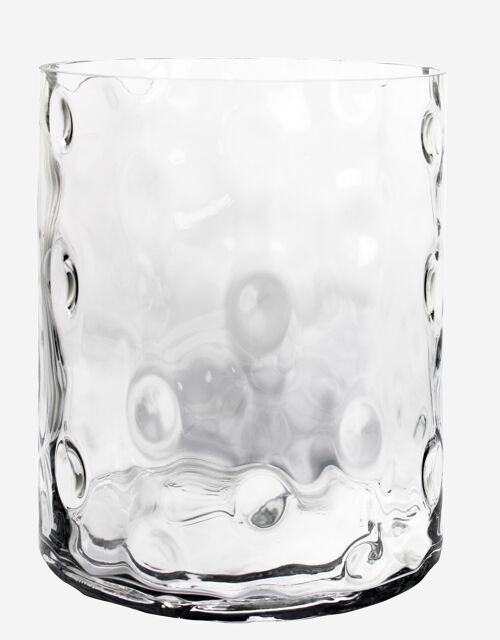 Large turtle transparent vase