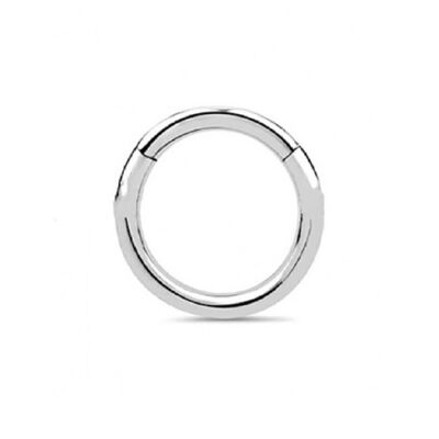 Surgical Steel Hinged Septum - Silver 10mm