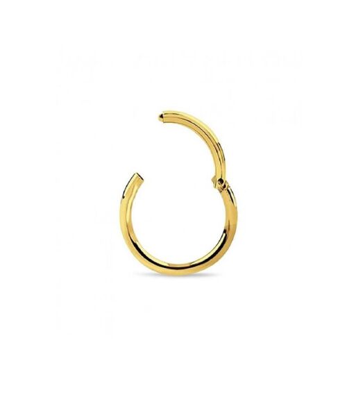 Surgical Steel Hinged Septum - Gold 6mm
