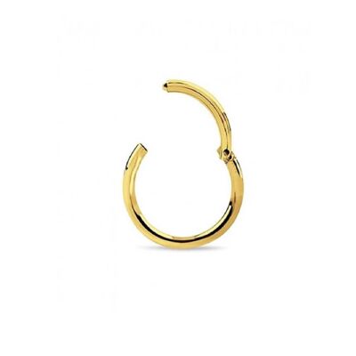 Surgical Steel Hinged Septum - Gold 6mm