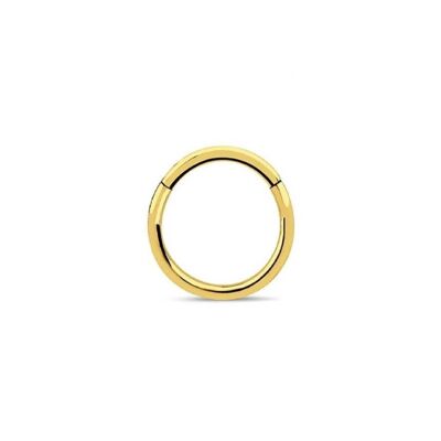 Klappseptum aus Chirurgenstahl - Gold 8mm