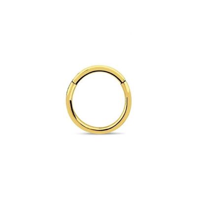 Surgical Steel Hinged Septum - Gold 8mm