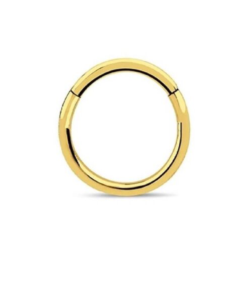 Surgical Steel Hinged Septum - Gold 10mm
