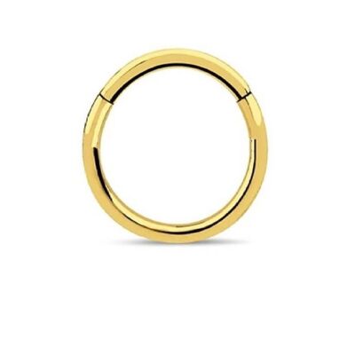 Surgical Steel Hinged Septum - Gold 10mm