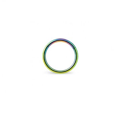 Surgical Steel Hinged Septum - Multicolor 8mm