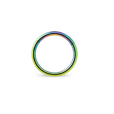 Surgical Steel Hinged Septum - Multicolor 10mm