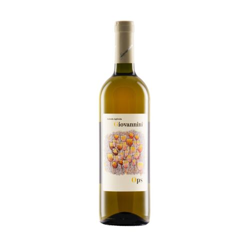 Chardonnay | Organic Wein | Rubicone IGT | OPS