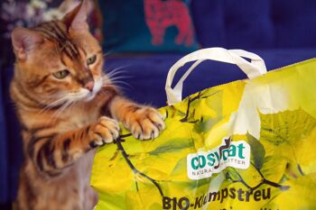 Cosycat - litière bio pour chats 2