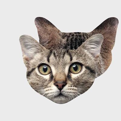 Pikkii | Fun Panni Pulizia Occhiali - Animali - Cat