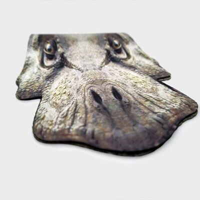 Pikkii | Fun Brillenputztücher - Tiere - T-Rex Bite