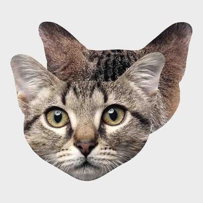 Pikkii | Fun Linsenreinigungstücher (8 verschiedene Stile!) – CAT