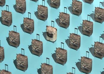 Pikkii | Housse de Valise Animal Chat / Carlin - L - PUG 6