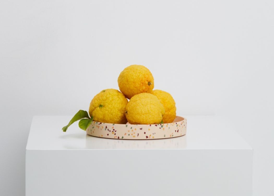 Capra Designs | Medium Tray Terrazzo  - Medium Tray Salt Terrazzo