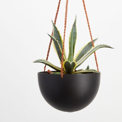 Capra-Designs | Block Color Dome Hanging Planter – Block Color Dome Hanging Planter Midnight