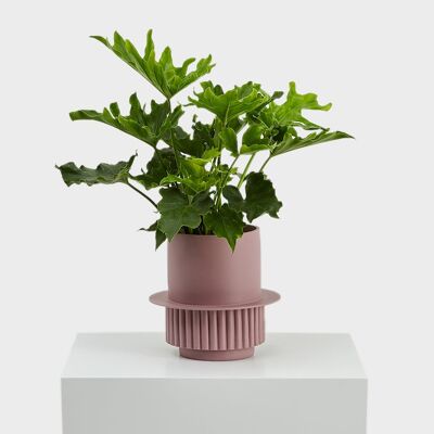 Capra-Designs | Roma Planter- Moschus