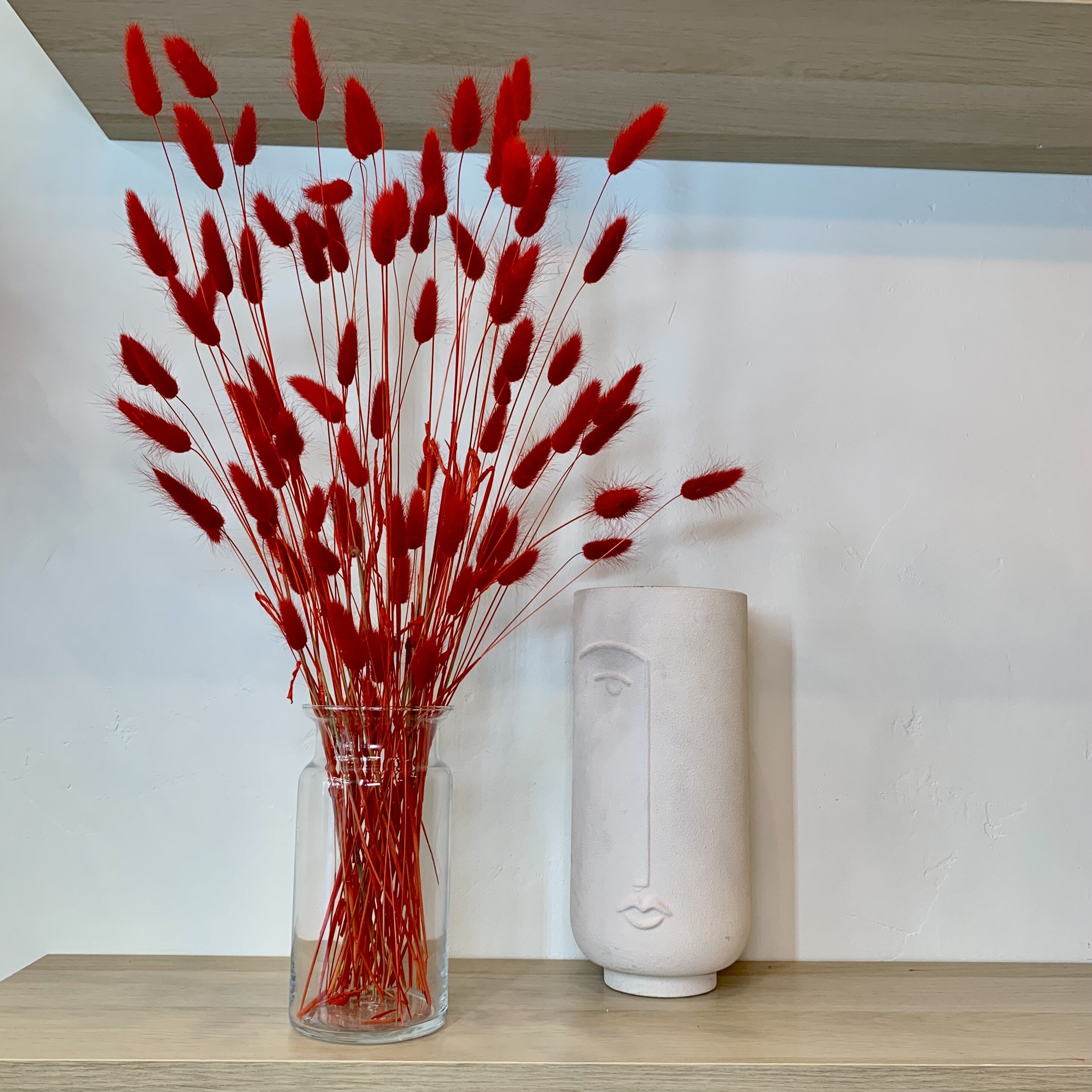 Lagurus essiccati - Rosso brillante