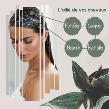 MySpirulinaCompany® | Masque Capillaire Fortifiant | 10% de Spiruline | Naturel | Cheveux Gras | 250ml | Made in France 6