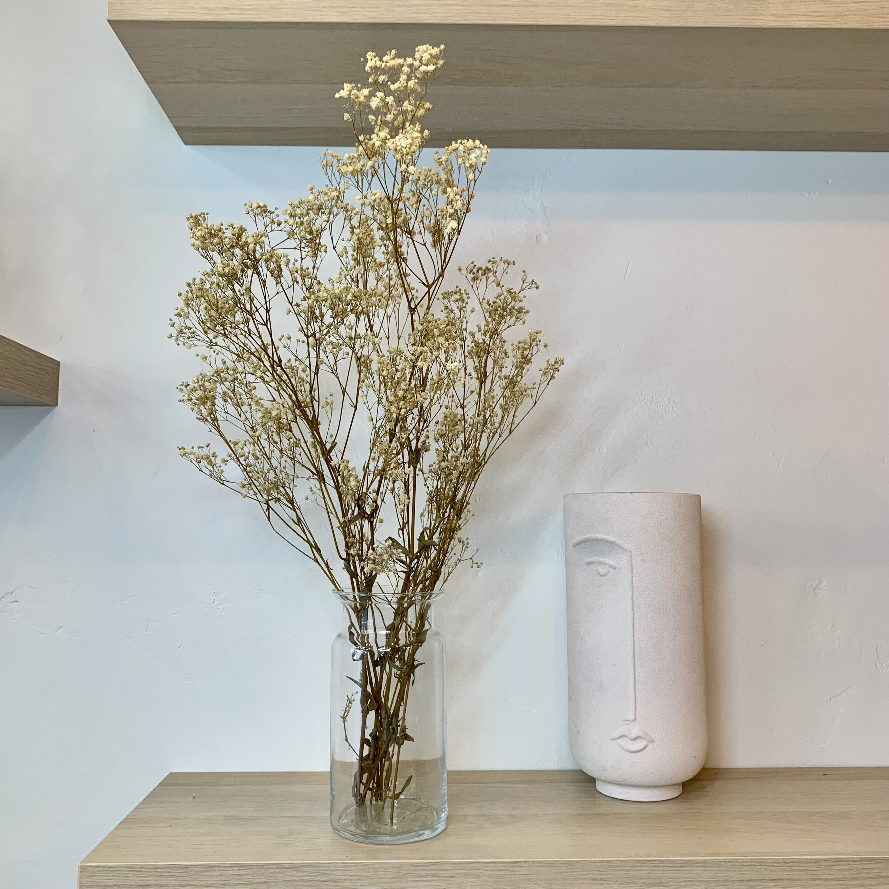 Gipsofila stabilizzata - Crema