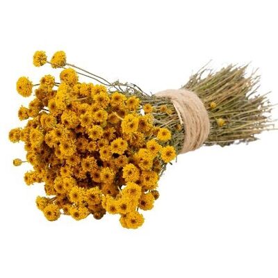 DRIED CHAMOMILE BOUQUET