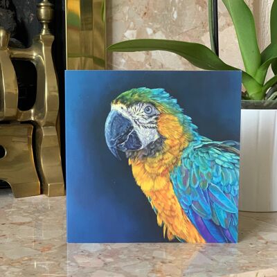 Blue and Gold Macaw - Parrot Greeting Card, From Original Oil Painting. Amazon Parrot, Blue, Yellow, Feathers, Detailed Bird Portrait