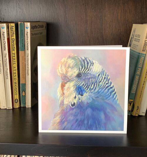 Budgie Greeting Card in Pastel Colours, From Original Budgerigar Oil Painting 'Charlie Girl', Parakeet, Perruche, Wellensittich