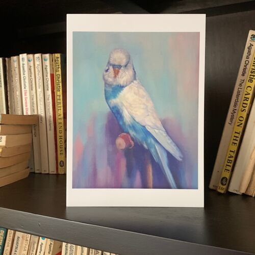 Budgie Greeting Card From Oil Painting ' Egg' By Budgerigardener. Blue and White Parakeet - Wellensittich, Perruche, Perequito, Undulat