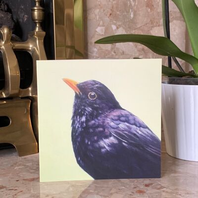 Blackbird Greeting Card, Bird Art Card, Garden Bird, From Original Oil Painting by Budgerigardener. Blank Inside
