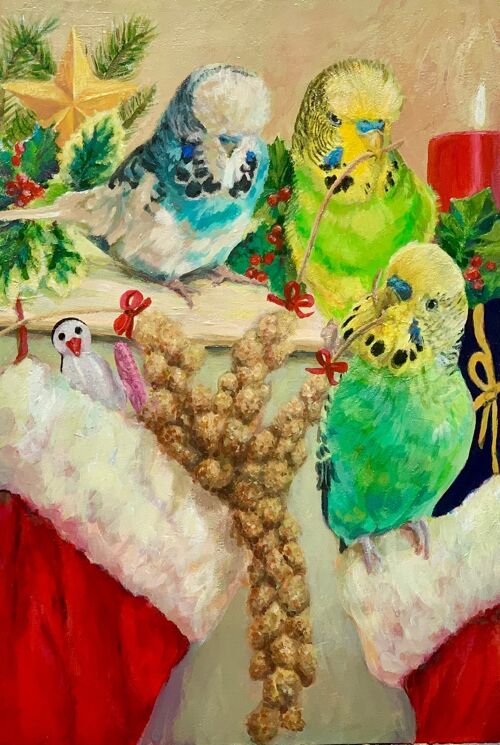 Budgie Christmas Card, Parakeet Art, Christmas Stockings, Cute Bird Christmas Cards, Realistic Bird Art, Wellensittich, Parkiet, Undulat