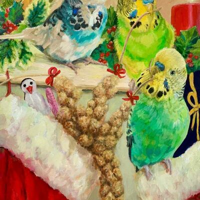 Budgie Christmas Card, Parakeet Art, Christmas Stockings, Cute Bird Christmas Cards, Realistic Bird Art, Wellensittich, Parkiet, Undulat