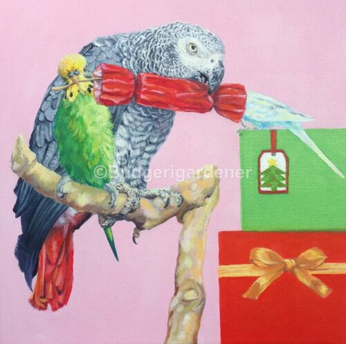 Parrot Budgie Christmas Card - Humurous Birds Christmas Card, Parakeets and African Grey Parrot With Christmas Cracker
