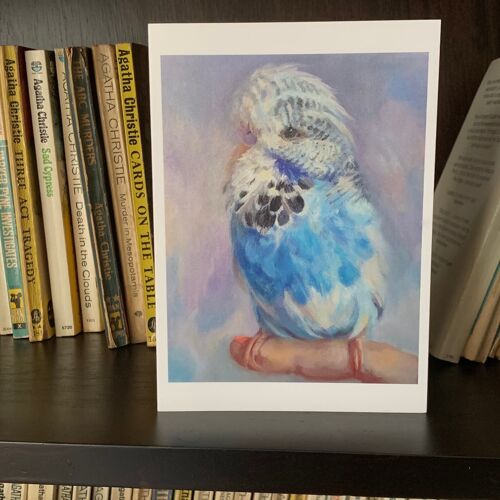 Baby Budgie Greeting Card From Oil Painting By Budgerigardener, Blue Parakeet. Cute baby Bird, Wellensittich, Perruche, Perequito, Undulat