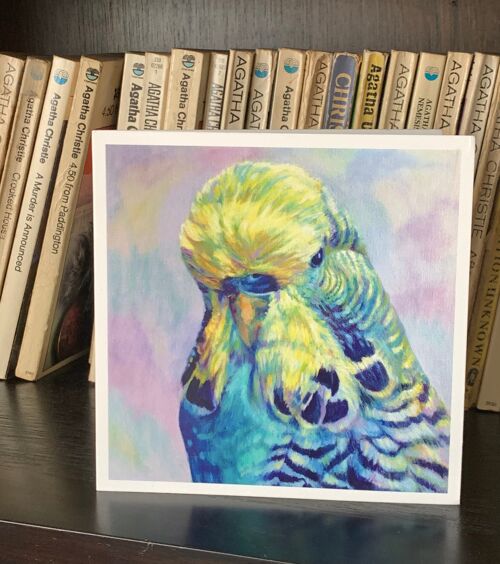 Budgie Greeting Card, Pet Bird Painting, 'Joey', Budgerigar, Parakeet, Perruche. Colourful Modern Fine Art