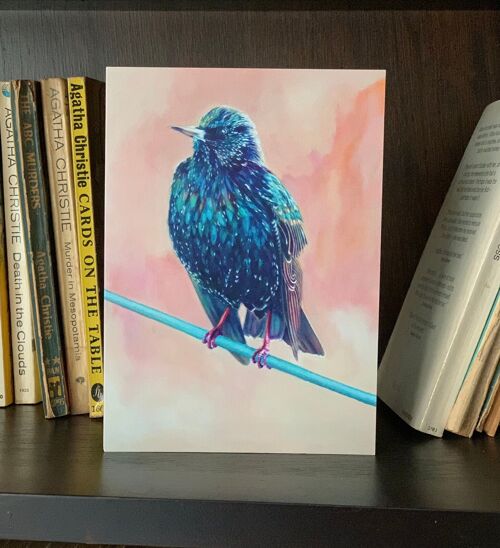 Starling Greeting Card, Starling Oil Painting, Garden Bird Card, Iridescent Feathers, Jewel Colours, Blank Inside, Budgerigardener Design