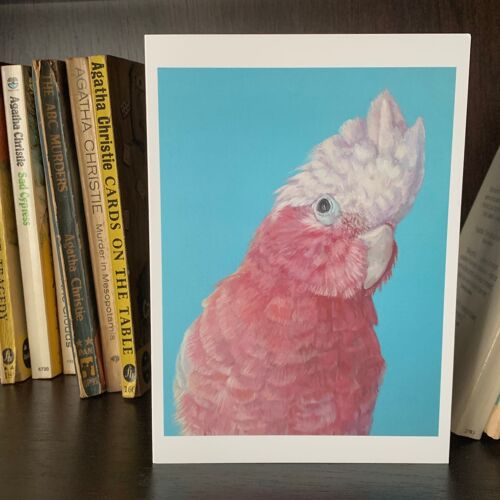 Galah Greeting Card, Pink Cockatoo, Cockatoo Art, Cheeky Bird Card, From Oil Painting - Australian Bird, Roseate Cockatoo