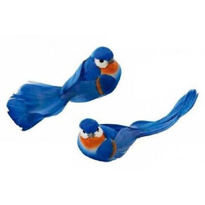 Caja 12 pájaros pluma azul pinza 10cm