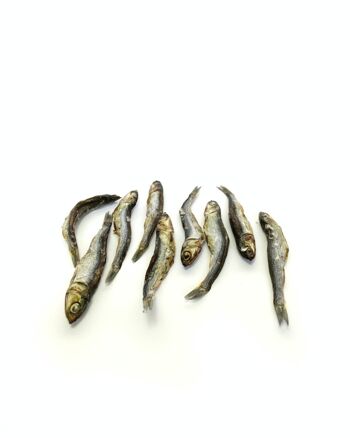 Anchois entier - Snack naturel pour chiens et chats 3