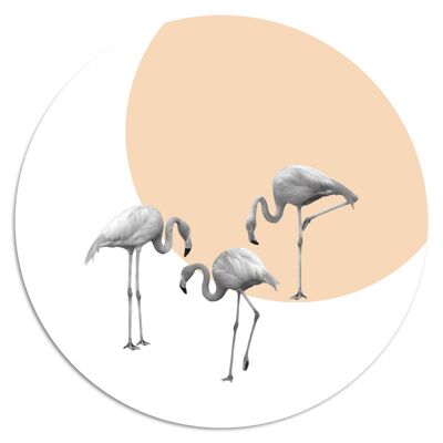 'Dinky Animals: Flamingos'' Wandteller - Ø 24 cm