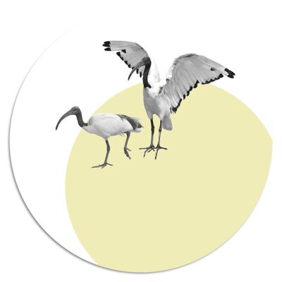'Dinky Animals: Crane'' Wandteller - Ø 15 cm