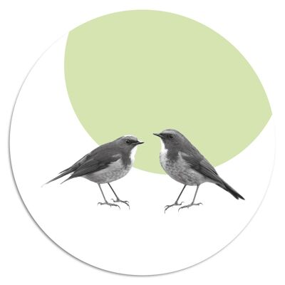 'Dinky Animals: Birds'' Wandteller - Ø 24 cm