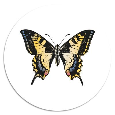 'Butterfly'' Wandteller - Ø 19 cm