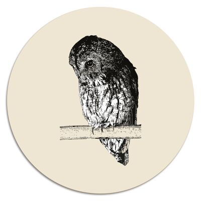 'Mister Owl'' Wandteller - Ø 15 cm