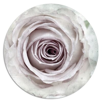 'Vintage Rose'' Wandteller - Ø 19 cm