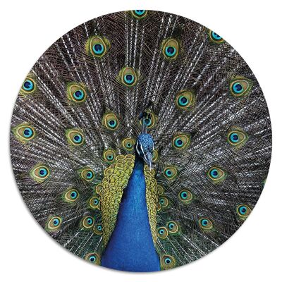 'Peacock'' Wandteller - Ø 24 cm