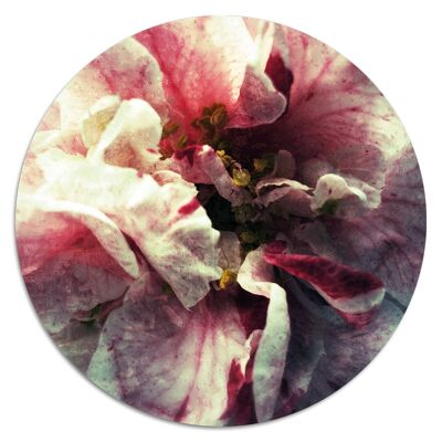 'Modern Bloom'' Wandteller - Ø 19 cm