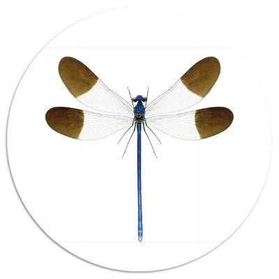 "Dragonfly" Wandteller - Ø 15 cm